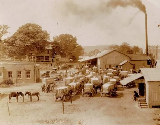 Dozens of mule-drawn wagons loaded with cotton crowded around the gin